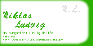 miklos ludvig business card