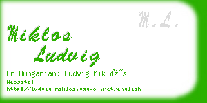 miklos ludvig business card